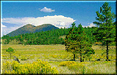 Sunset Crater Vulkan